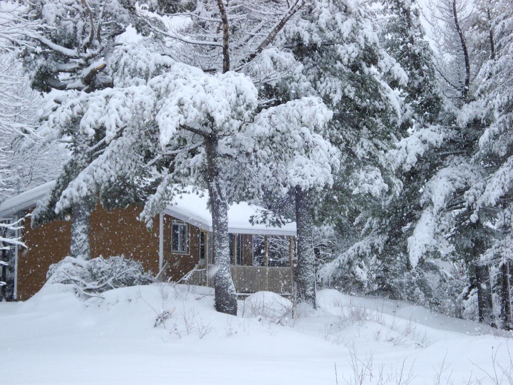Auberge La Tanière Tadoussac Exterior foto
